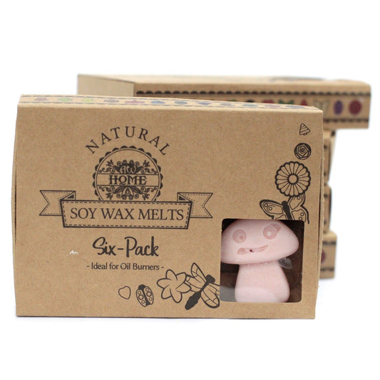 Old Ginger Wax Melts, Box of 6