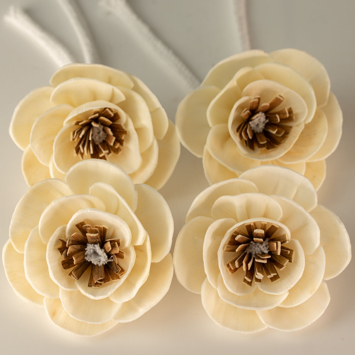 Natural Diffuser Flowers – Small Poppy on String