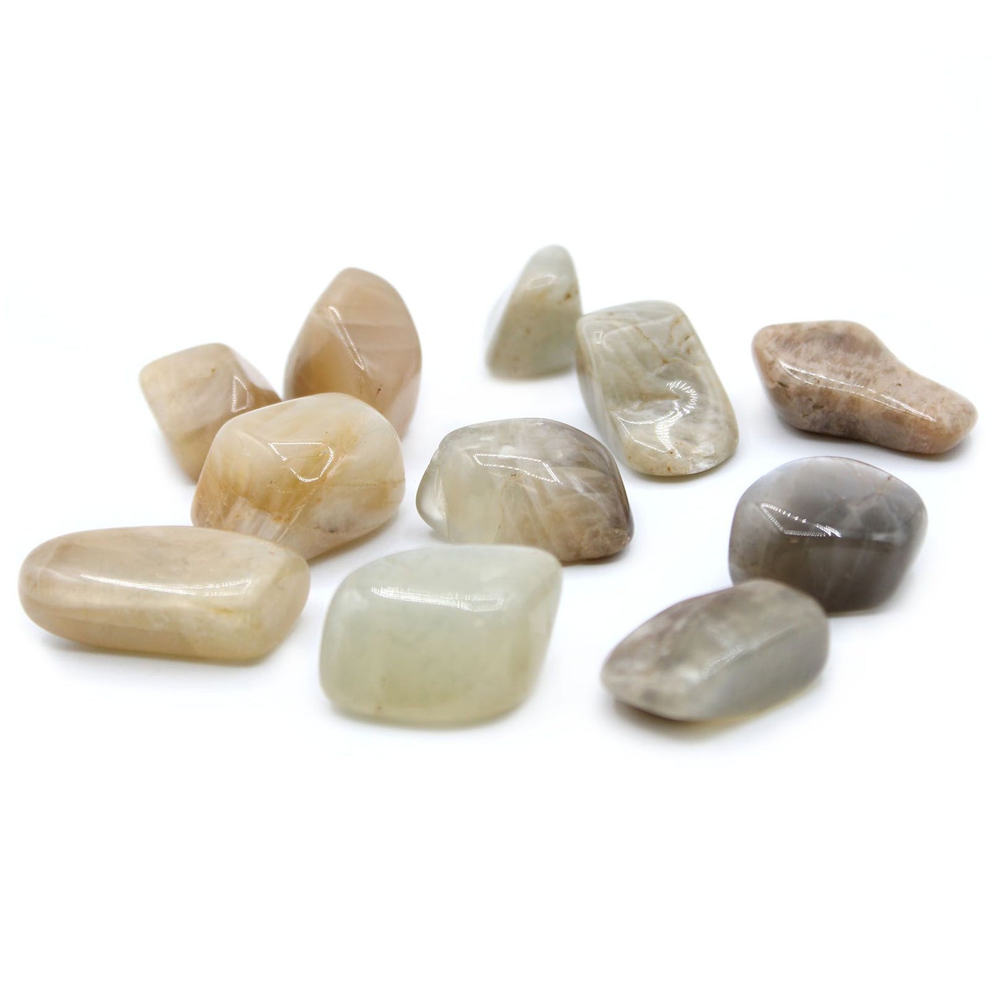 L Tumble Stones - Moonstone | Auro & Co