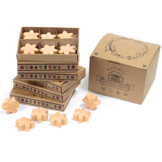 Midnight Jasmine Wax Melts, Box of 6