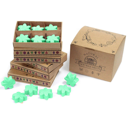 Hidden Garden Wax Melts, Box of 6