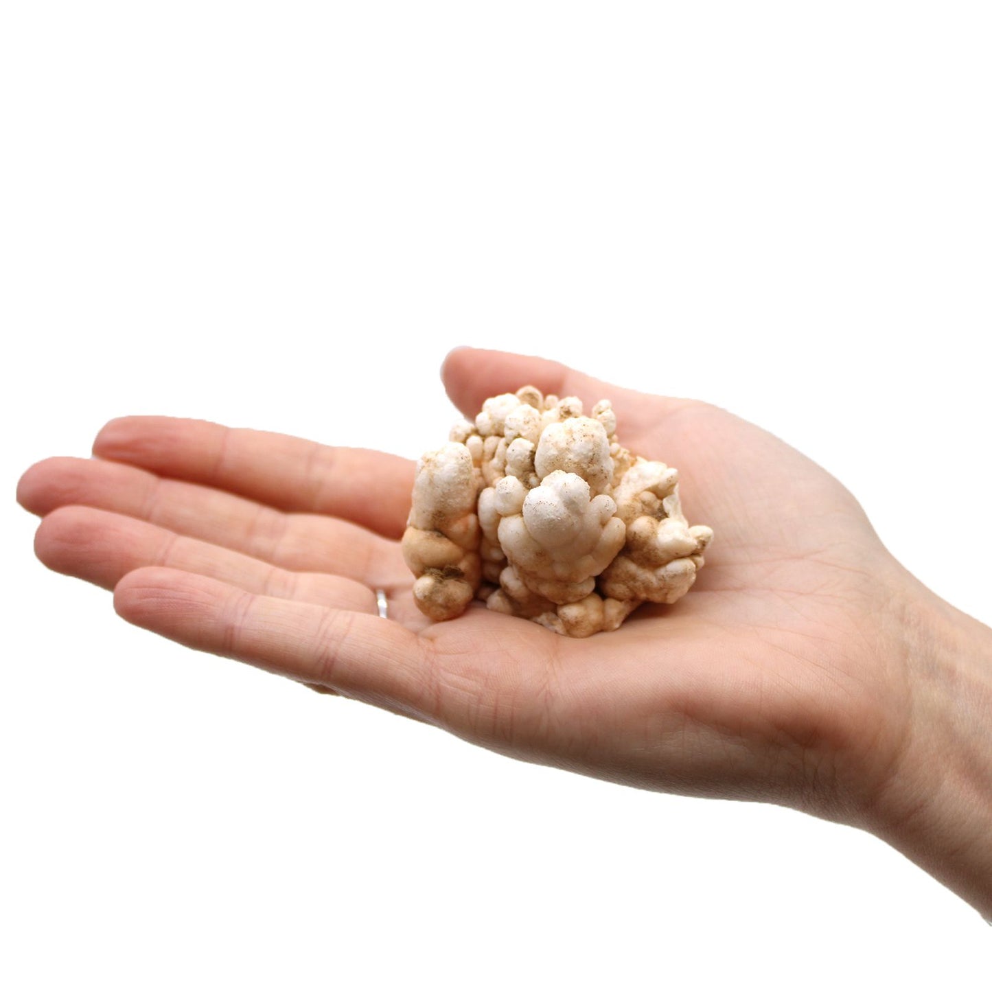 Finger Quartz (1kg pack) – product image 10