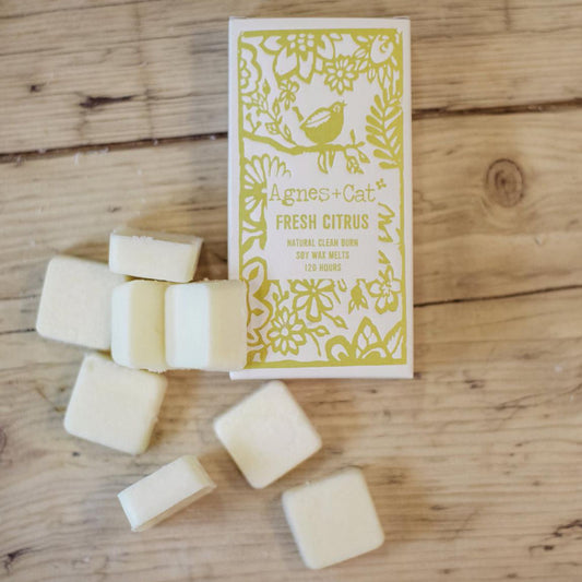 Fresh Citrus Wax Melts, Box of 8 - Agnes + Cat