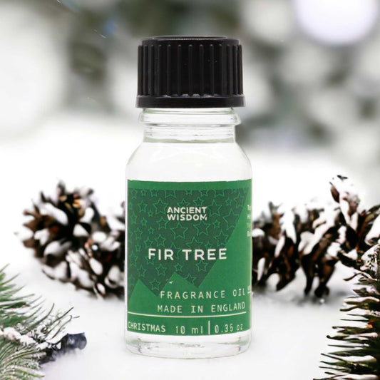 Fir Tree Fragrance Oil 10ml | Auro & Co