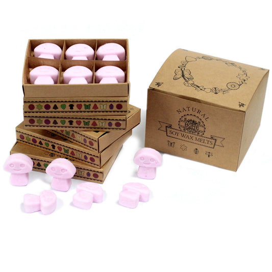 Ylang Ylang Wax Melts, Box of 6