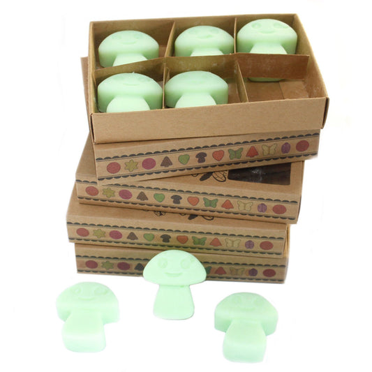 Liquorice Wax Melts, Box of 6
