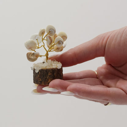 Small Gomati Chakra Circle Stone Tree with Rudraksha - (15 stones) – packaging
