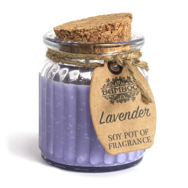 Lavender Soy Pot of Fragrance Candles | Auro & Co