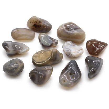 Medium African Tumble Stones - Grey Agate - Botswana | Auro & Co