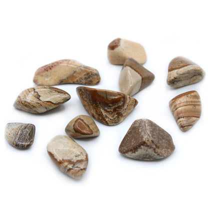 L Tumble Stones - Kalahari Desert Stone | Auro & Co