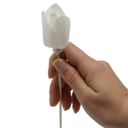 Natural Diffuser Flowers – Tulip on Reed