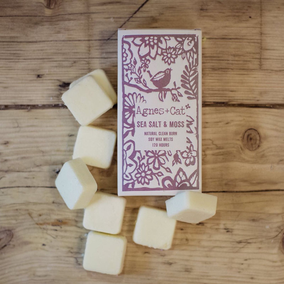 Sea Salt & Moss Wax Melts, Box of 8 - Agnes + Cat