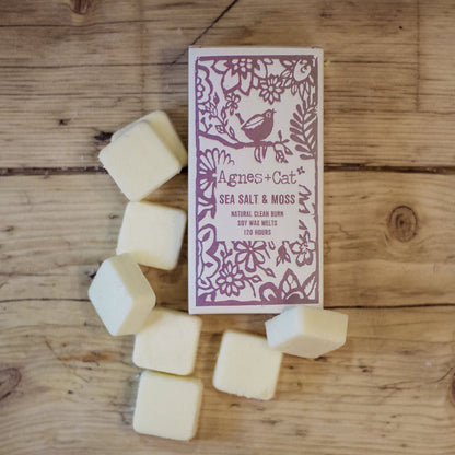 Sea Salt & Moss Wax Melts, Box of 8 - Agnes + Cat