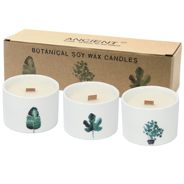 Med Botanical Candles - Mullberry Harvest | Auro & Co