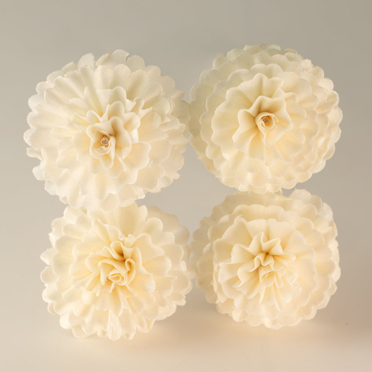 Natural Diffuser Flowers – Carnation on Reed