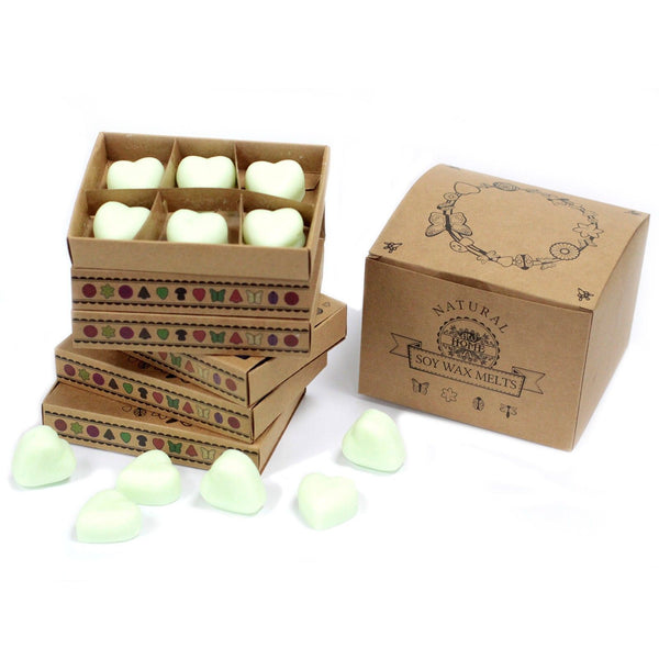 Watermelon Fresh Wax Melts, Box of 6