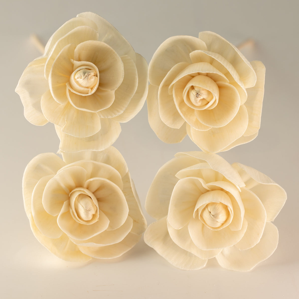 Natural Diffuser Flowers – Rose on Reed
