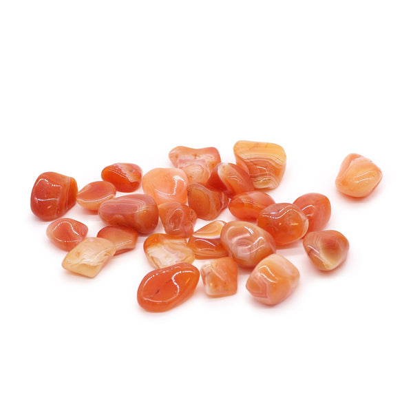 L Tumble Stones - Carnelian | Auro & Co