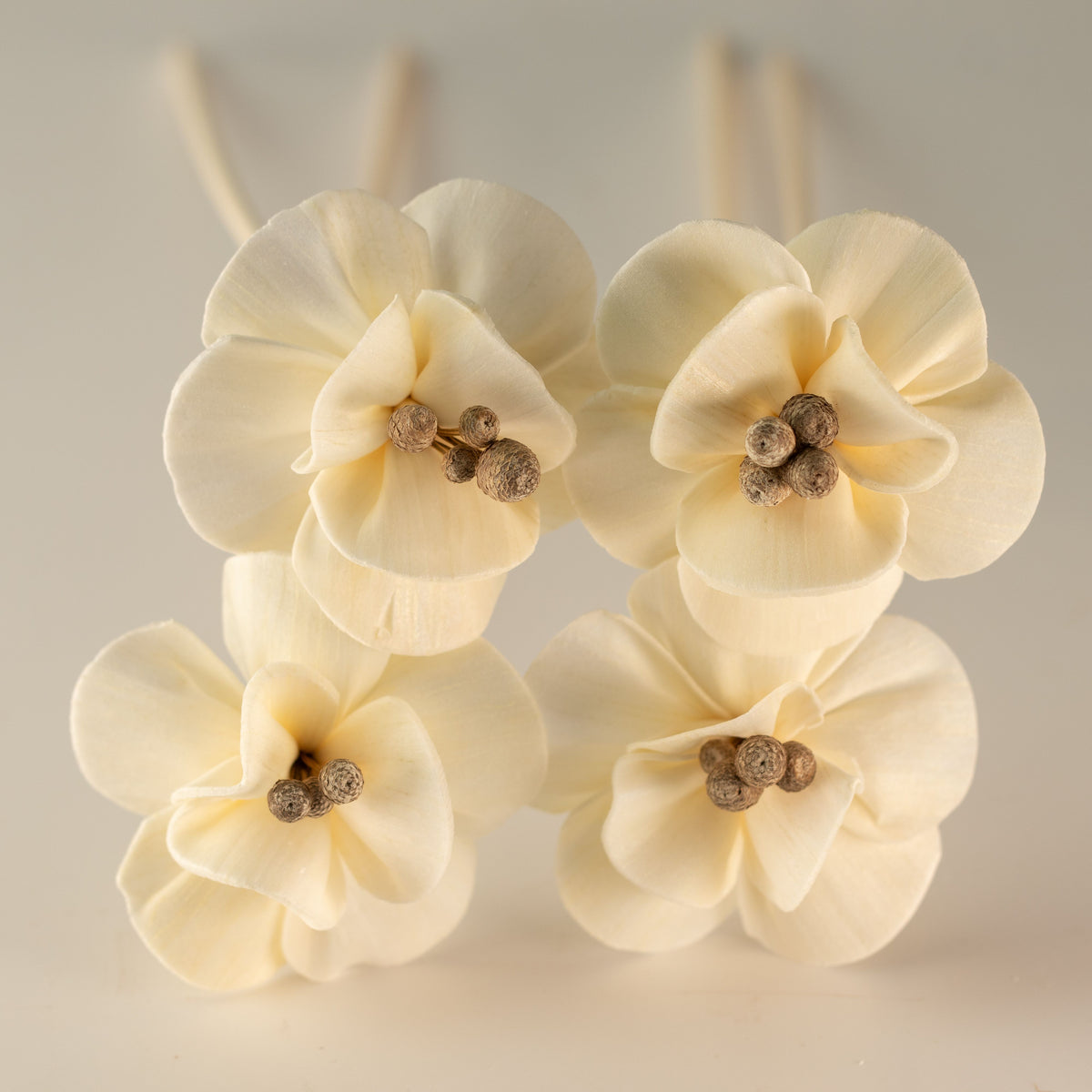Natural Diffuser Flowers – Lily on Reed