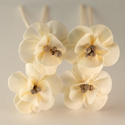 Natural Diffuser Flowers – Lily on Reed