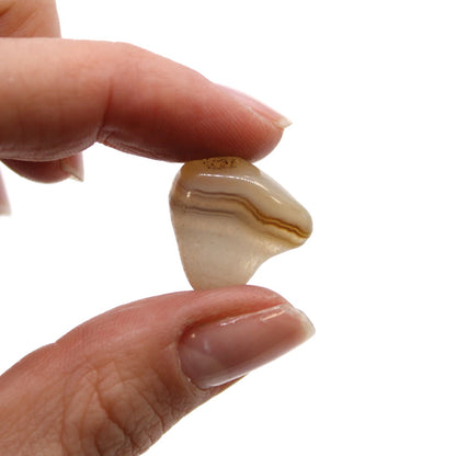 Small African Tumble Stones - Grey Agate - Botswana – detail view