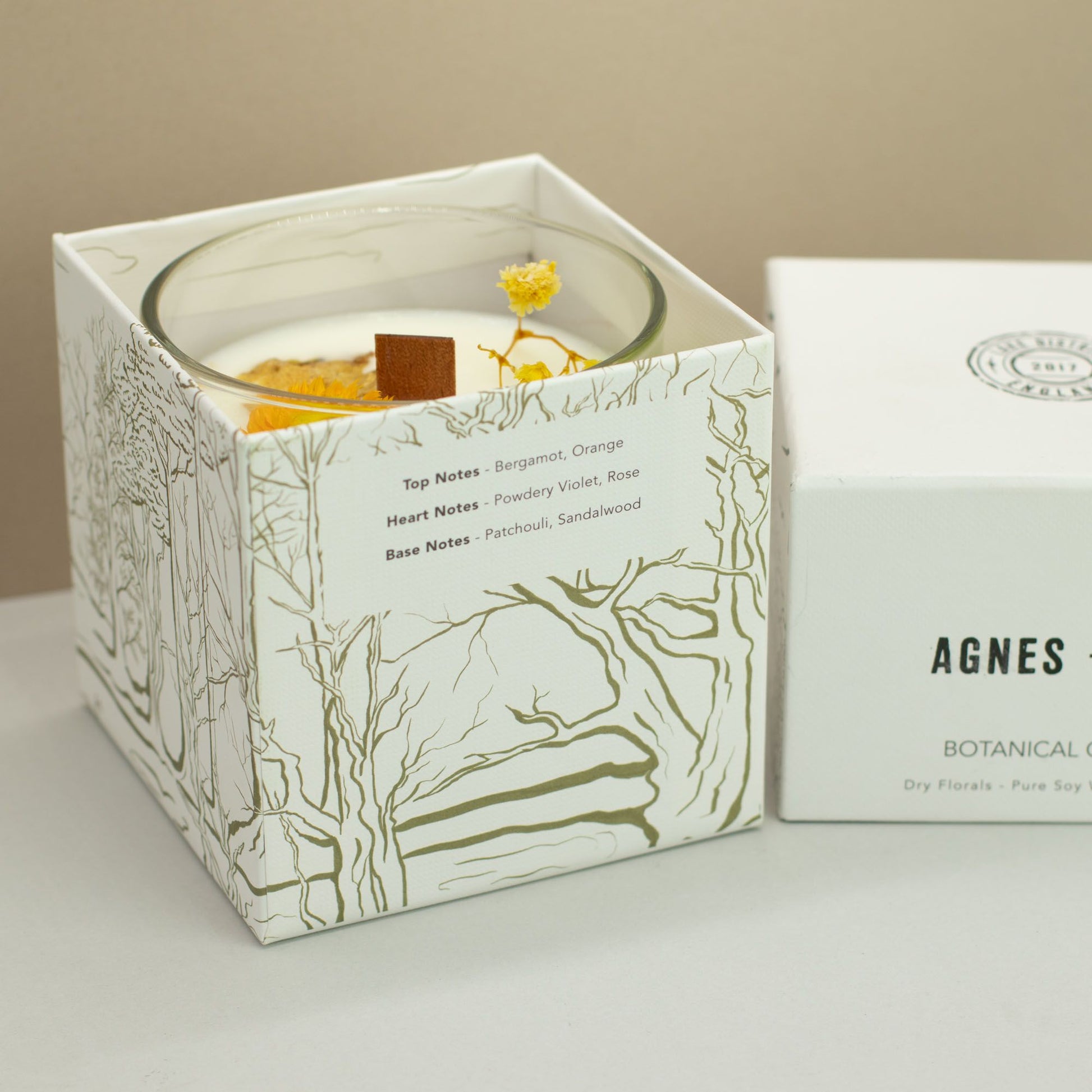 Agnes + Cat Botanical Soy Wax Candle - Rydal Oudh – lifestyle shot