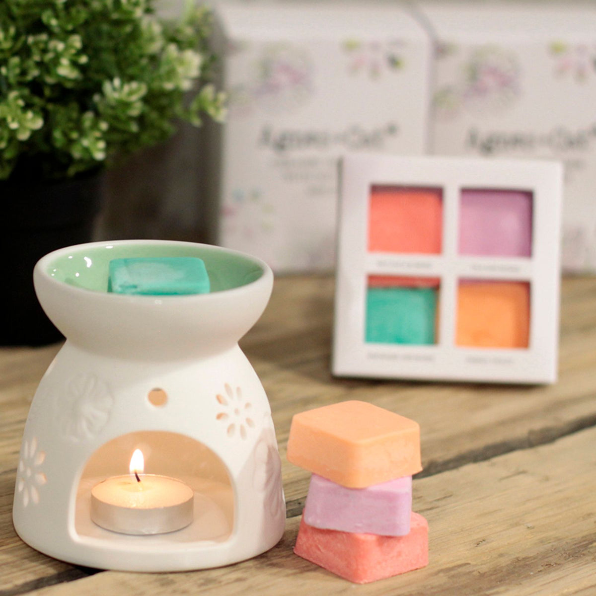 Ceramic Floral Wax Melt Burner with 4 Soy Wax Melts - Agnes + Cat