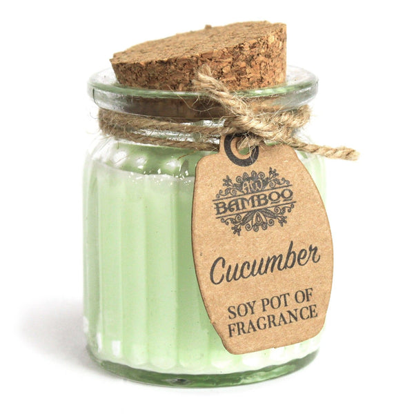 Cucumber Soy Pot of Fragrance Candles | Auro & Co