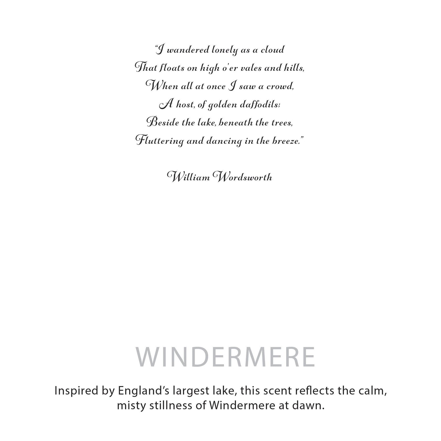 Agnes + Cat Botanical Soy Wax Candle - Windermere – product image 6