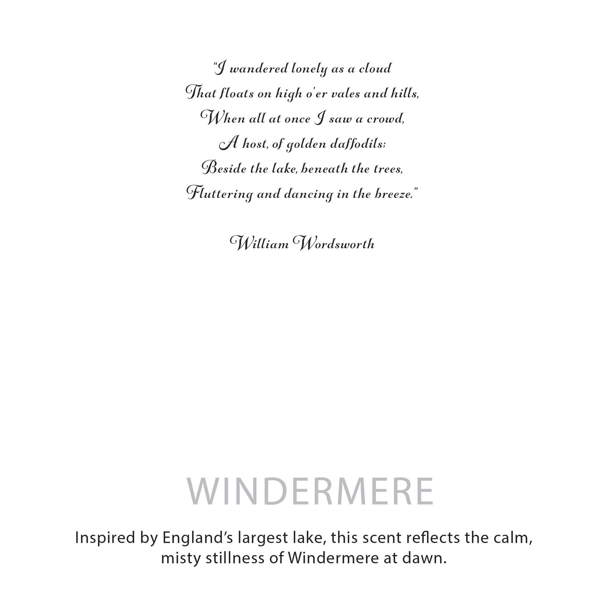 Agnes + Cat Botanical Soy Wax Candle - Windermere – product image 6