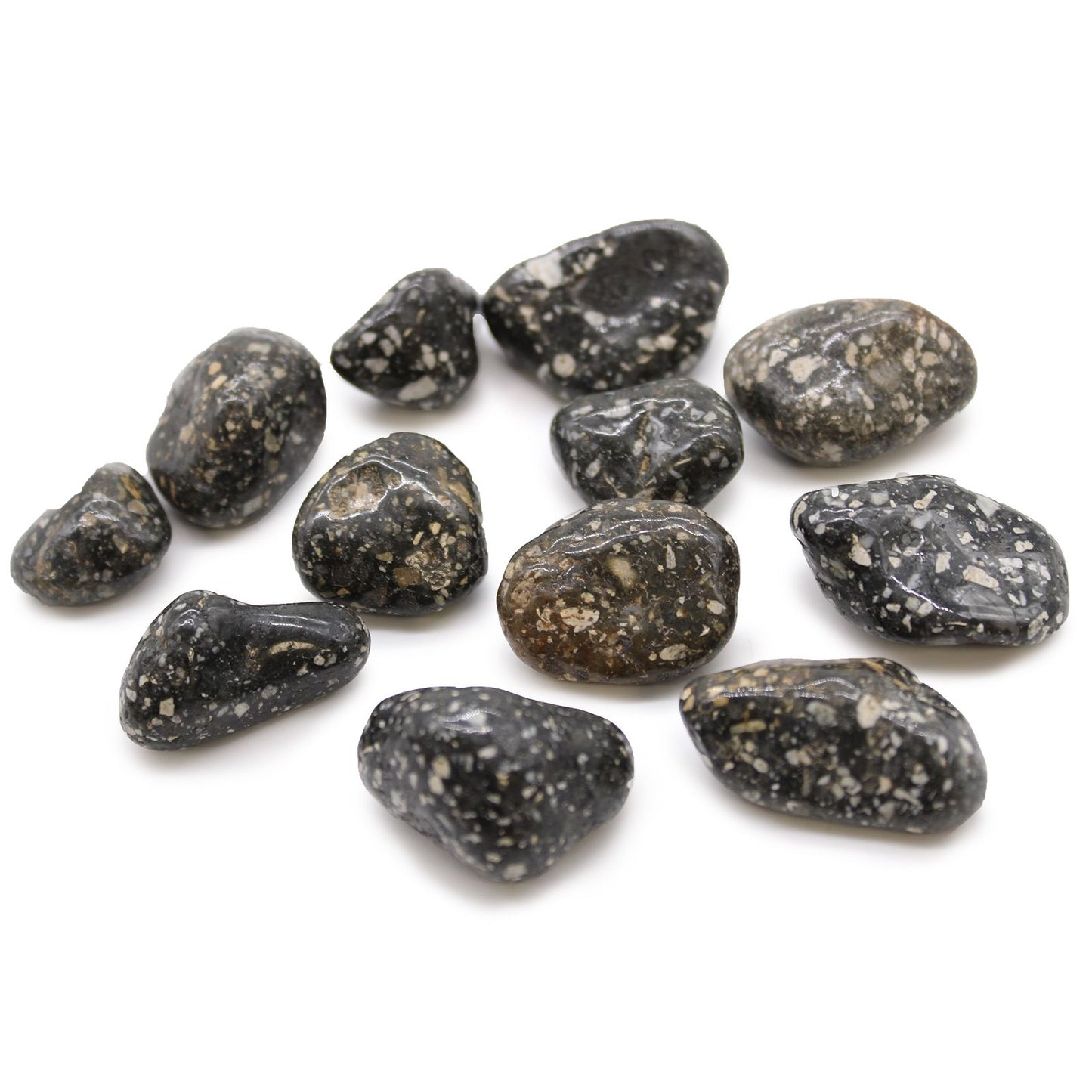 Medium African Tumble Stones - Guinea Fowl Medium | Auro & Co