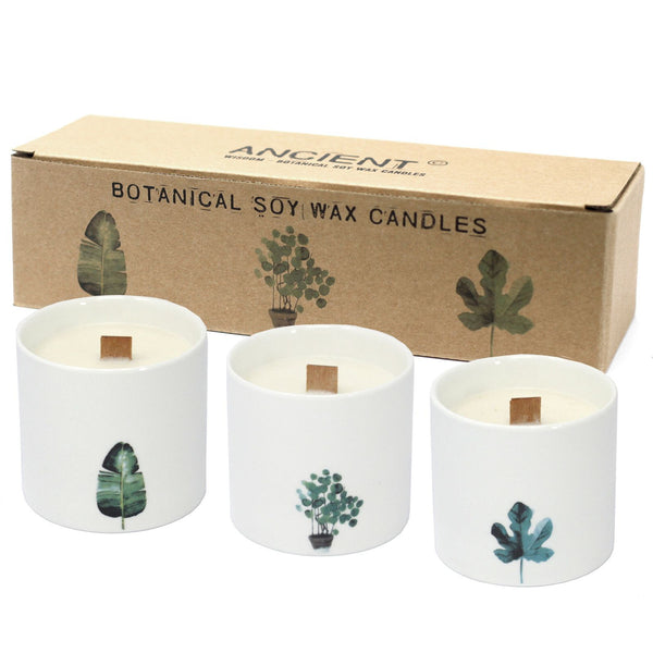 Large Botanical Candles - Marsh Viola | Auro & Co