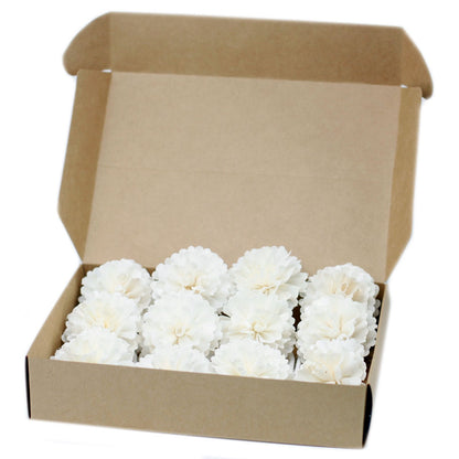 Natural Diffuser Flowers – Medium Carnation on String