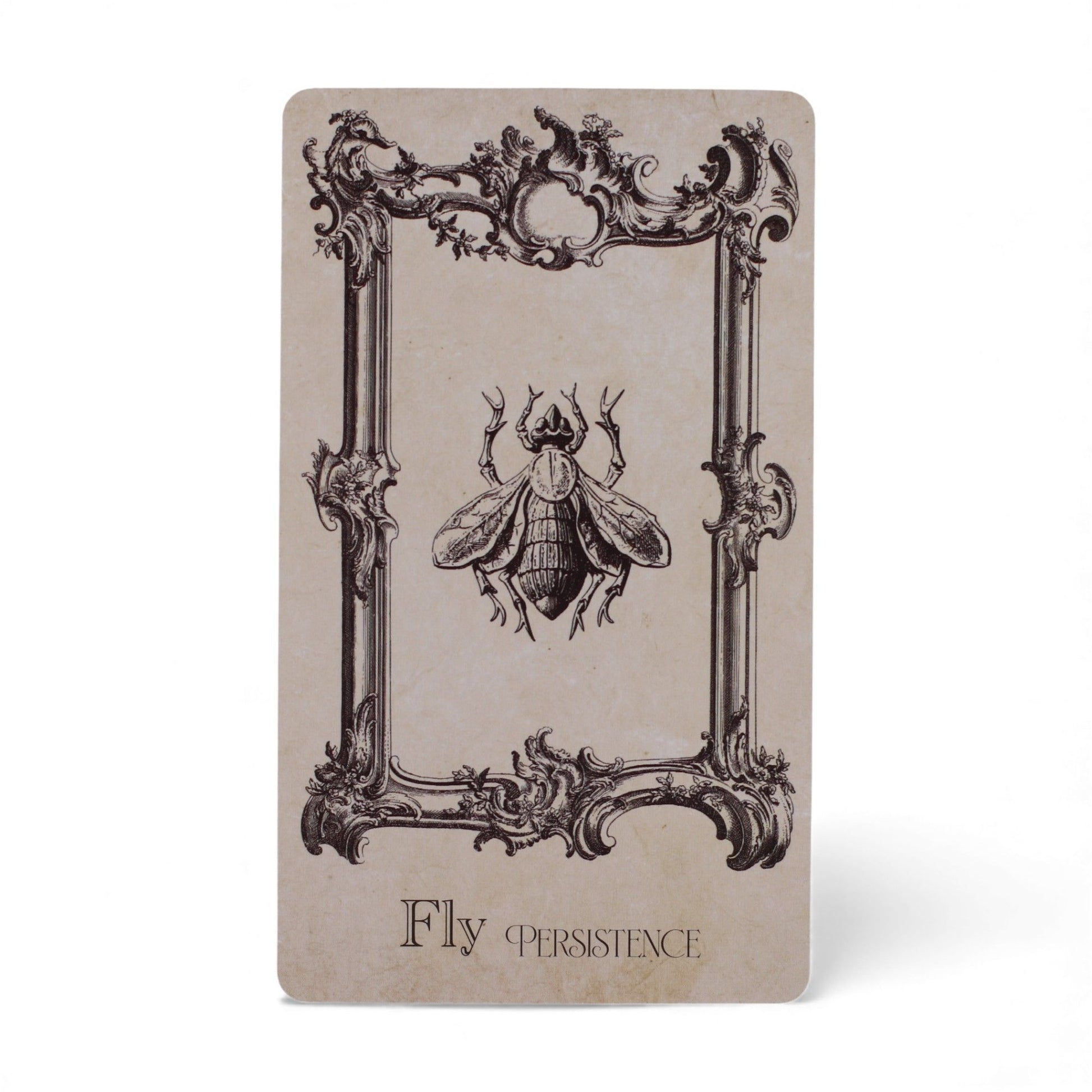 The Spellbook Oracle Cards – Witchcraft Deck | Auro & Co