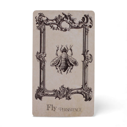 The Spellbook Oracle Cards – Witchcraft Deck | Auro & Co