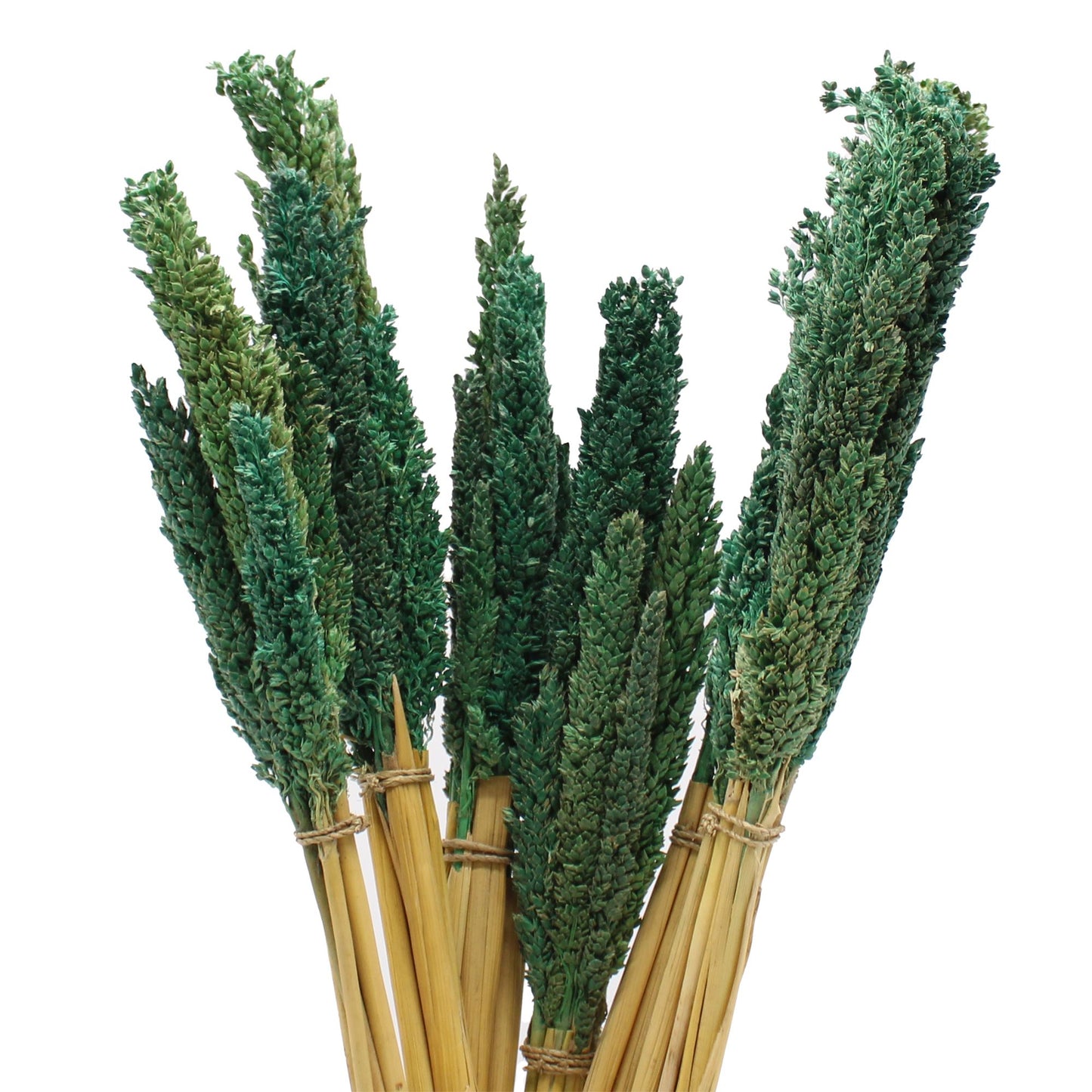 Cantal Grass Bunch - Green