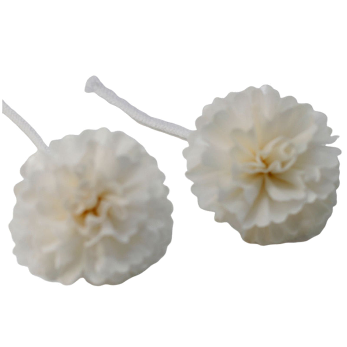 Natural Diffuser Flowers – Medium Carnation on String