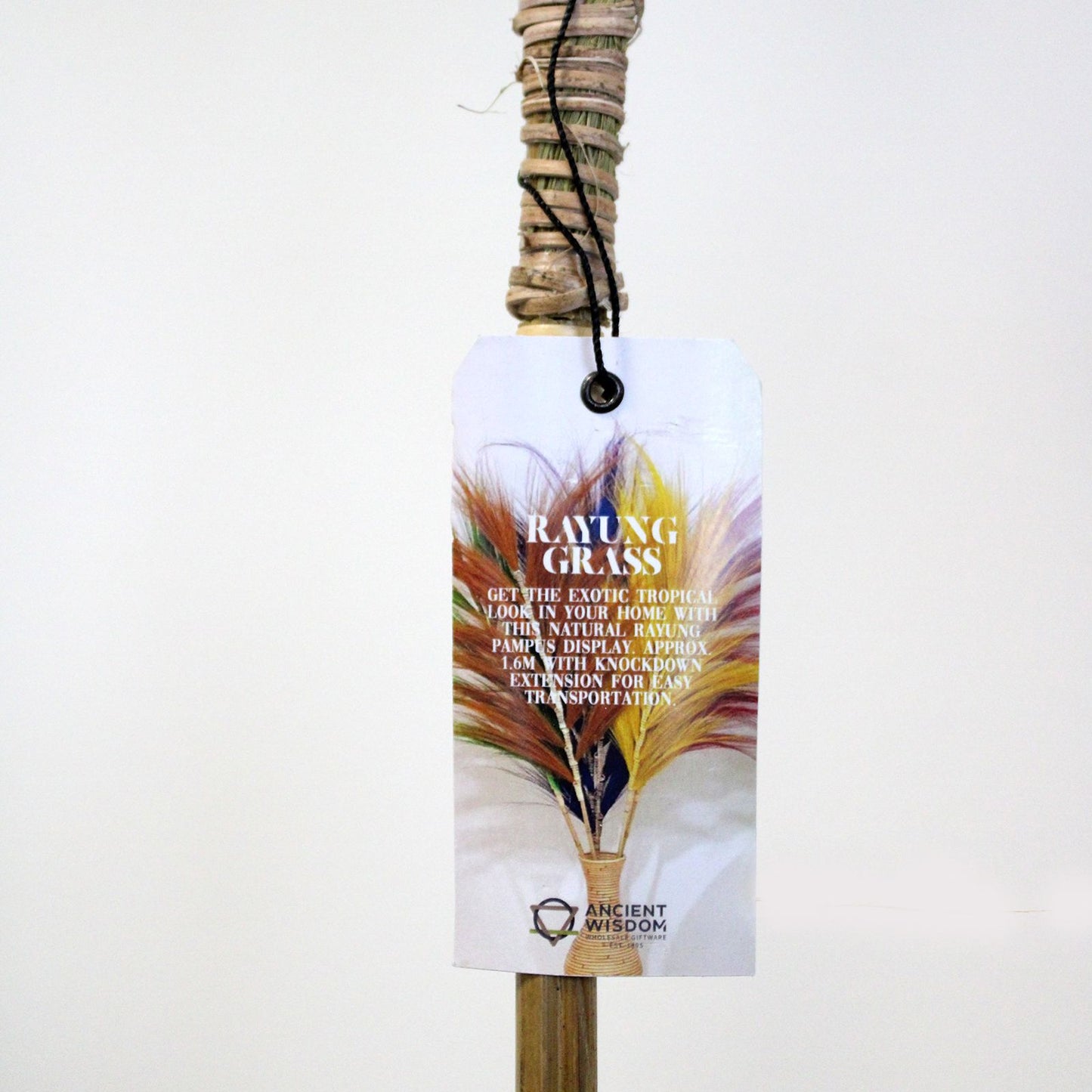 Rayung Grass Blond - 2m