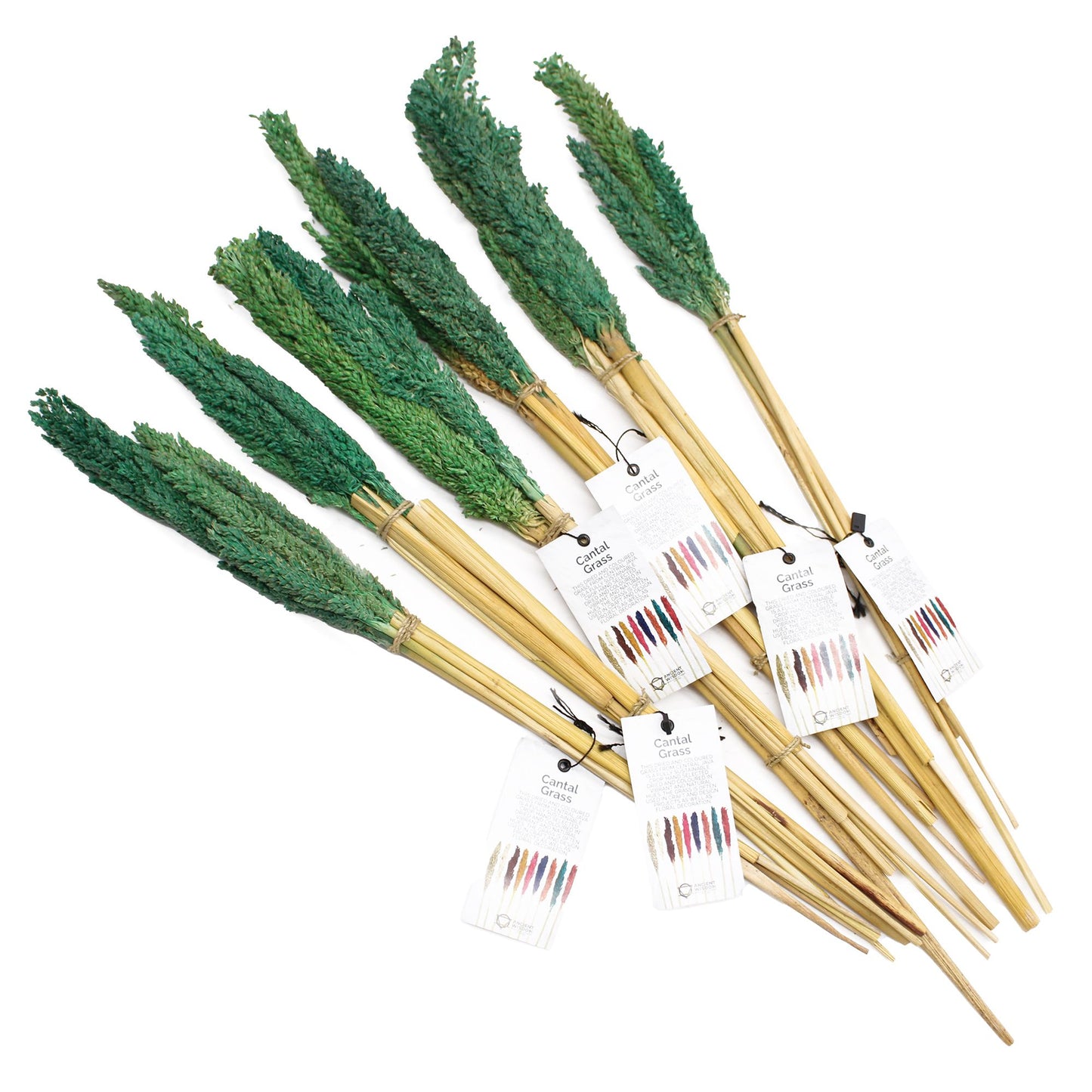 Cantal Grass Bunch - Green