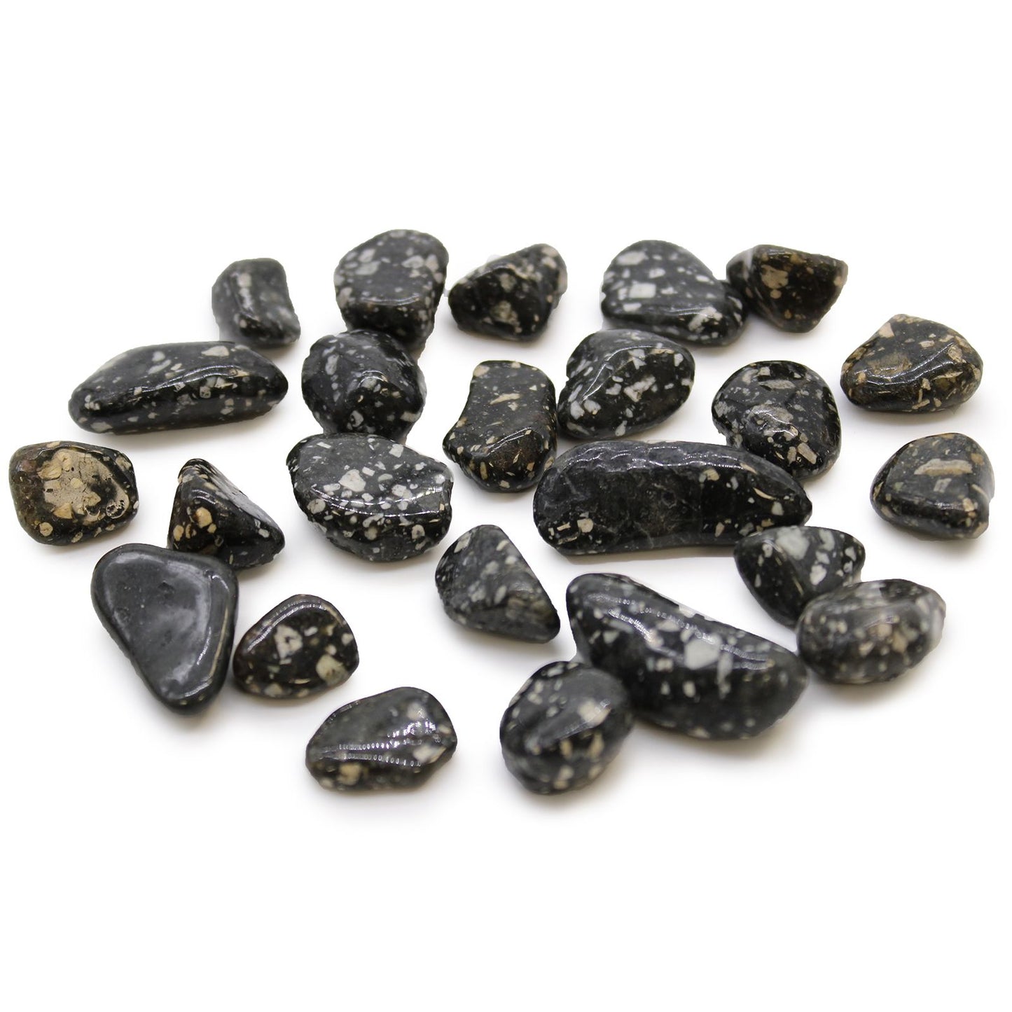 Small African Tumble Stones - Guinea Fowl | Auro & Co