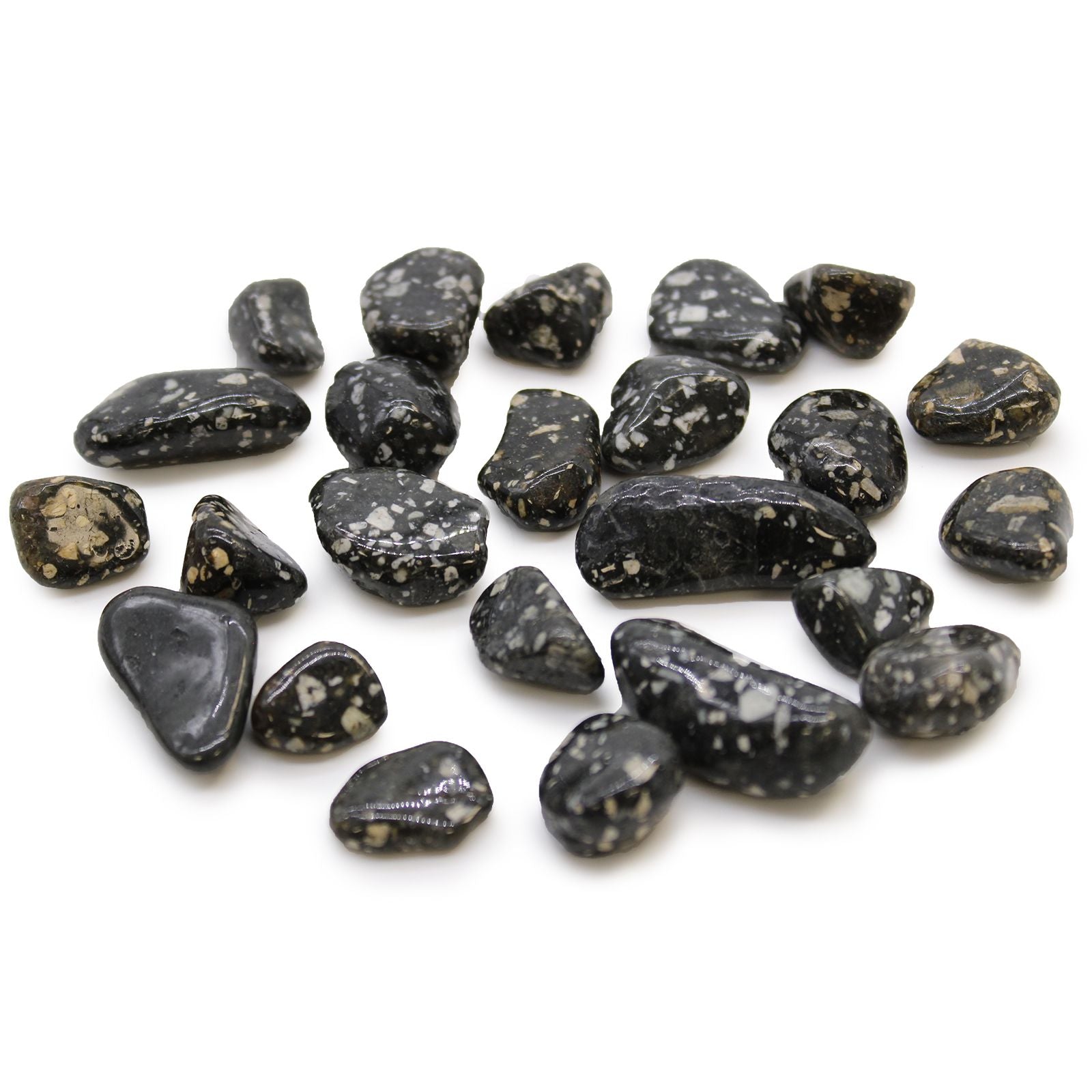 Small African Tumble Stones - Guinea Fowl | Auro & Co