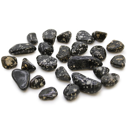 Small African Tumble Stones - Guinea Fowl | Auro & Co