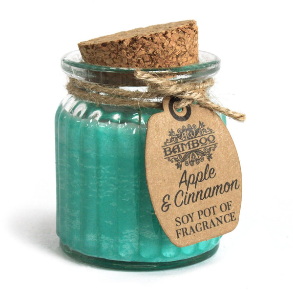 Apple & Cinnamon Soy Pot of Fragrance Candles | Auro & Co