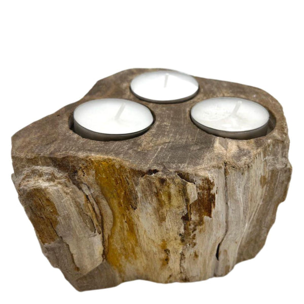 Petrified Wood Candle Holder - Triple | Auro & Co