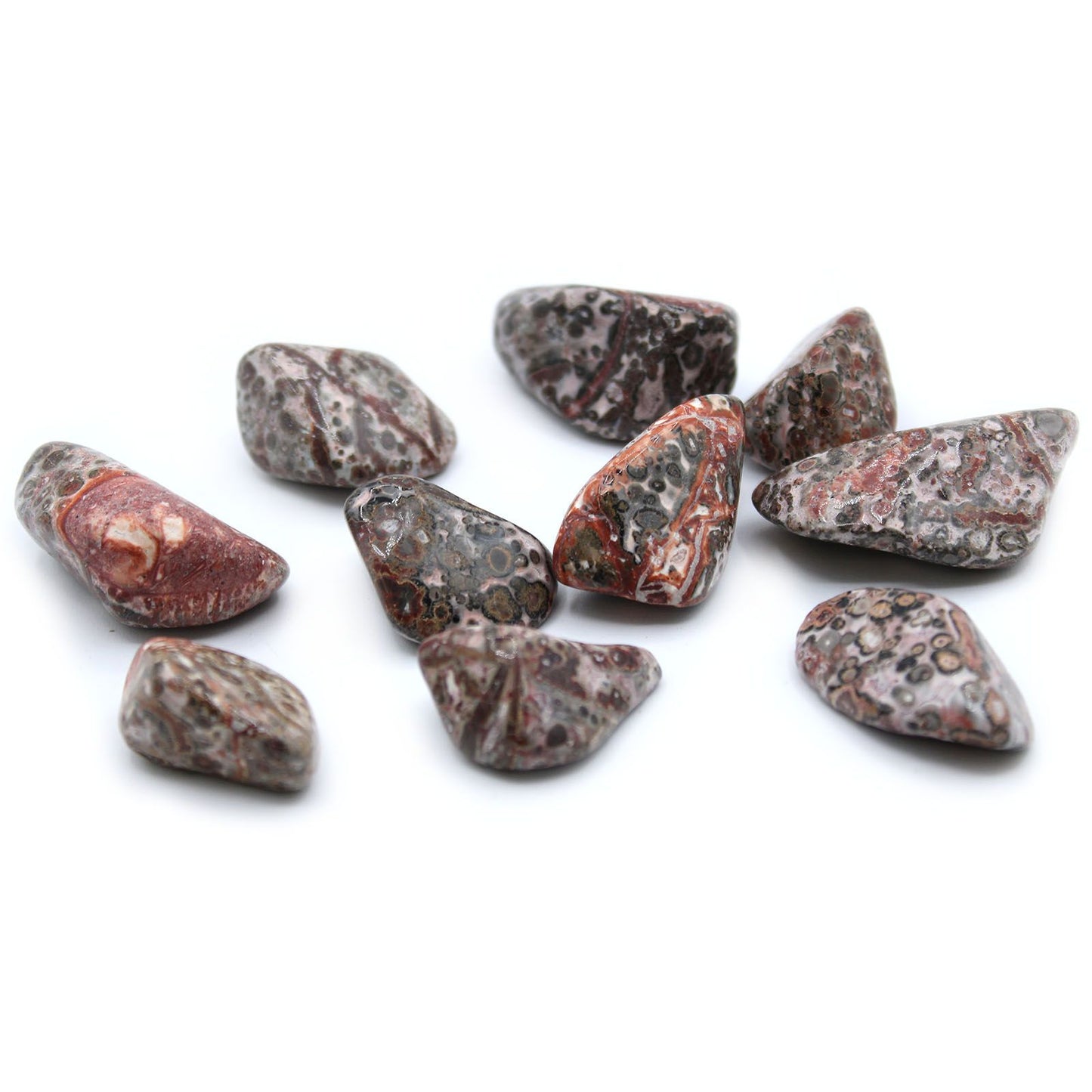 L Tumble Stones - Leopard Skin | Auro & Co
