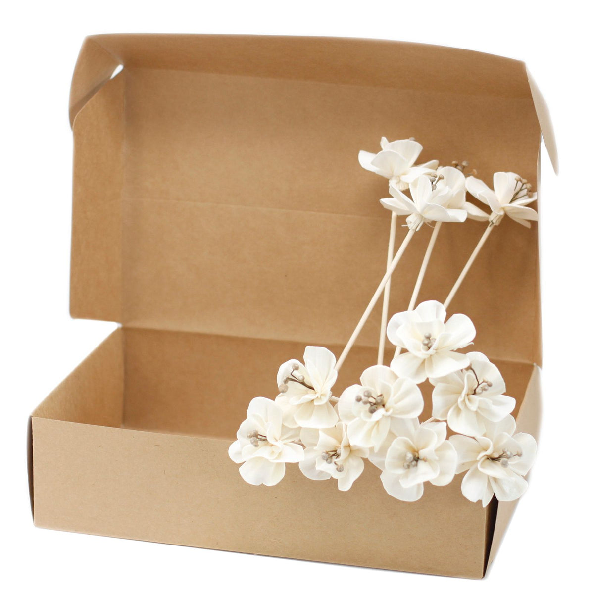 Natural Diffuser Flowers – Lily on Reed