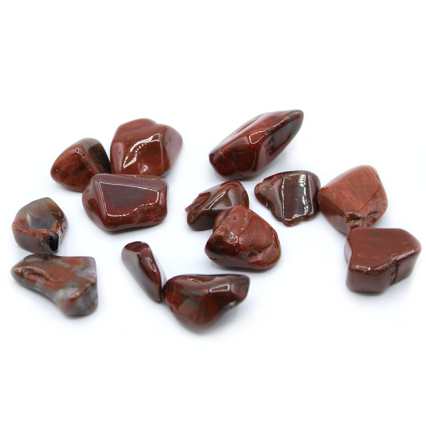 L Tumble Stones - Petrified Wood | Auro & Co