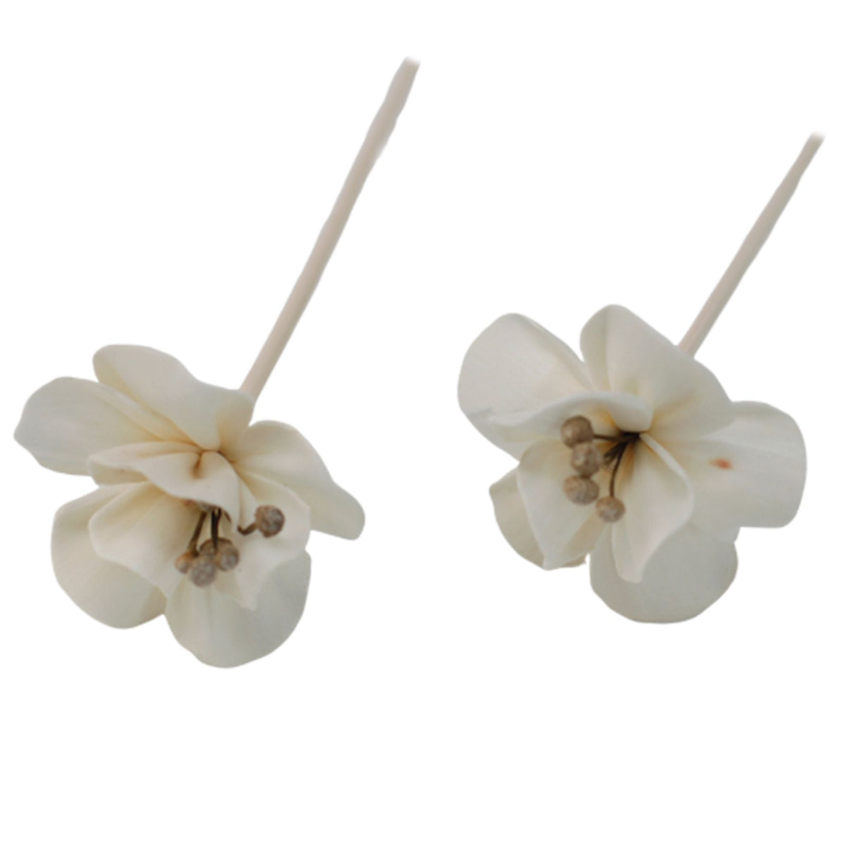Natural Diffuser Flowers – Lily on Reed
