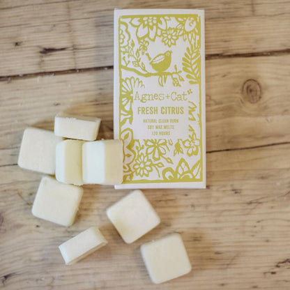 Fresh Citrus Wax Melts, Box of 8 - Agnes + Cat