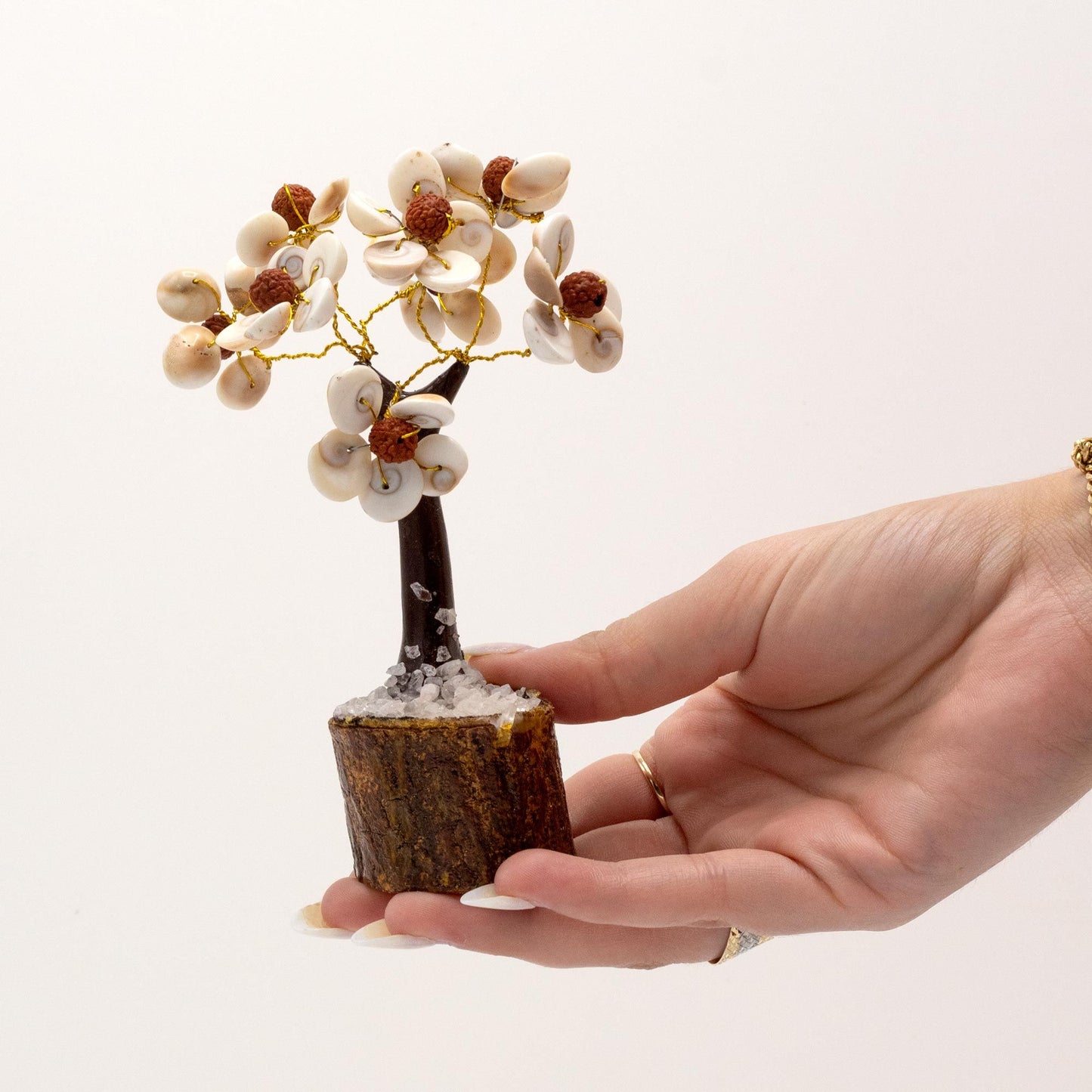 Med Gomati Chakra Circle Stone Tree with Rudraksha - (45 stones) – lifestyle shot